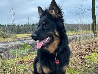 Rascal  Bes.: Britta Flauger