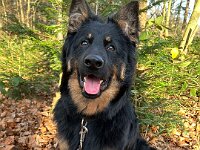 Rascal  Bes.: Britta Flauger