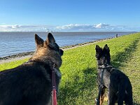 Lilly und Rascal  Bes.: Britta Flauger