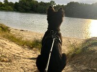 Rascal  Bes.: Britta Flauger