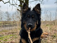 Rascal  Bes.: Britta Flauger