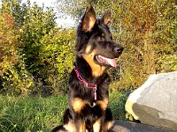 Ravel  Bes.: Sonja Item