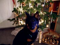 Ravel  Bes.: Sonja Item